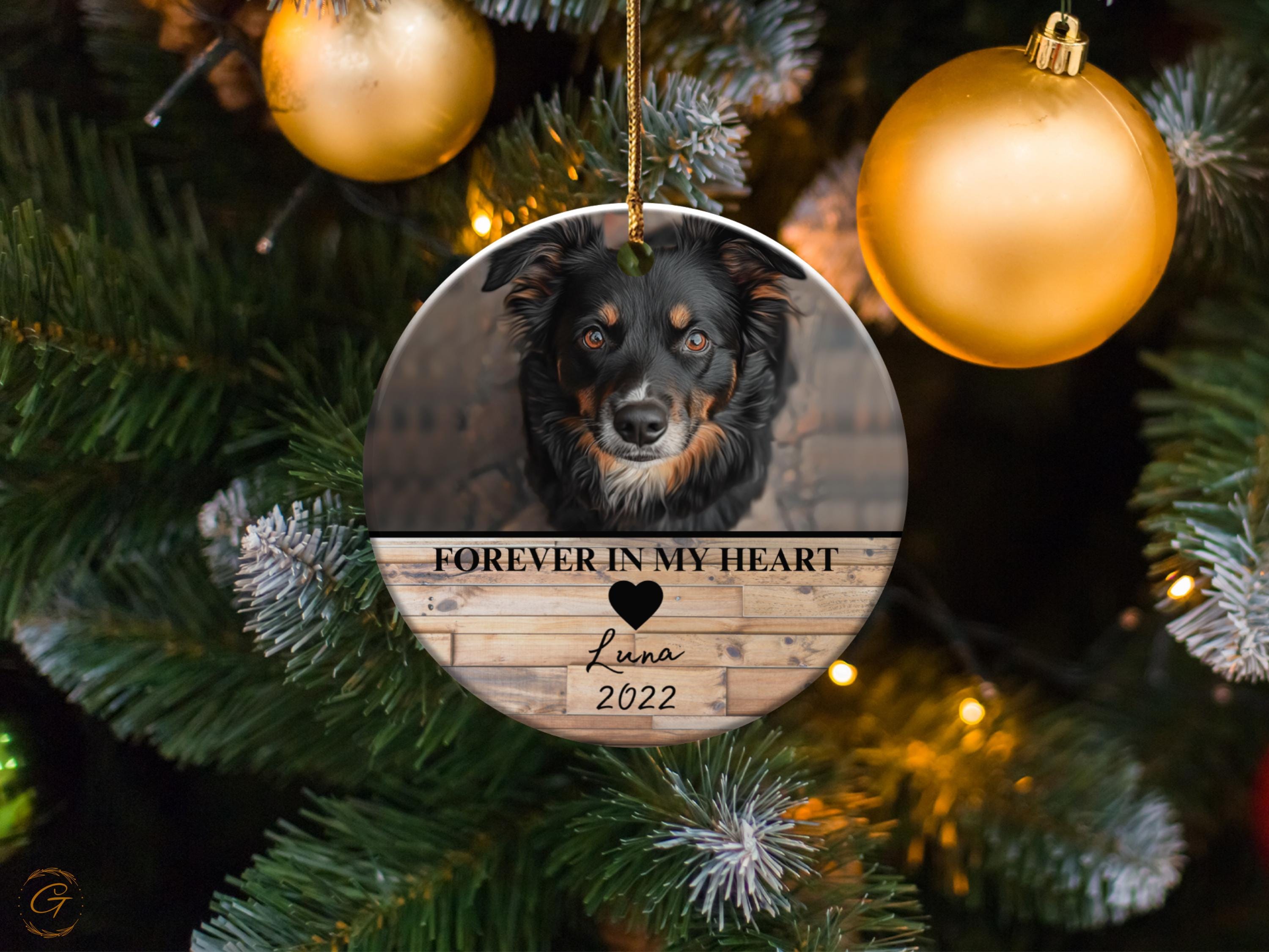 Personalized Pet Christmas Ornament, Custom Pet Keepsake, Dog Holiday Decor, Unique Gift for Pet Lovers, Memorable Christmas Gift for Family