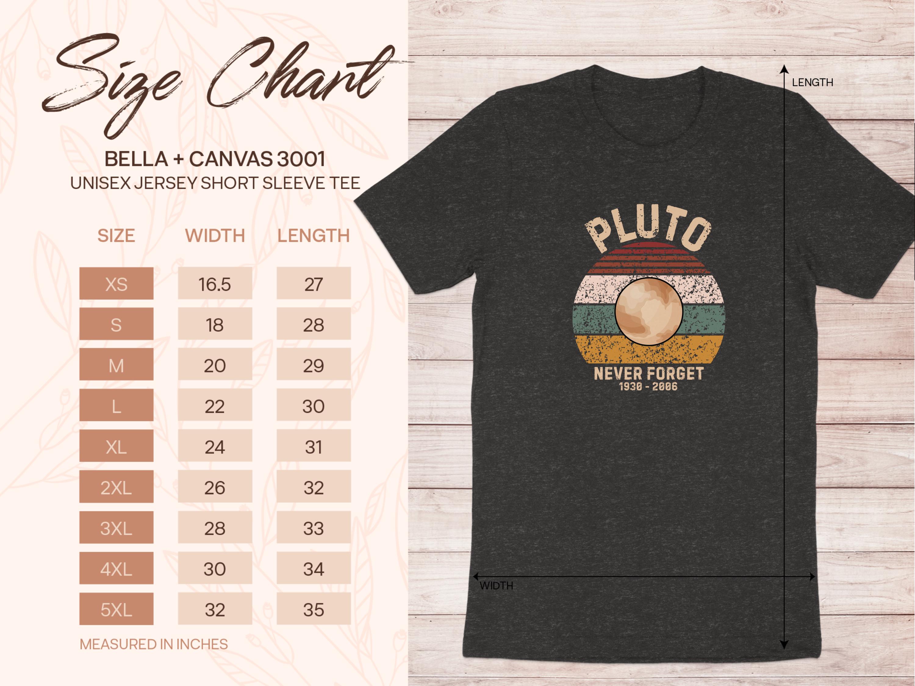 Pluto Never Forget 1930 2006 Graphic Tee Shirt product
