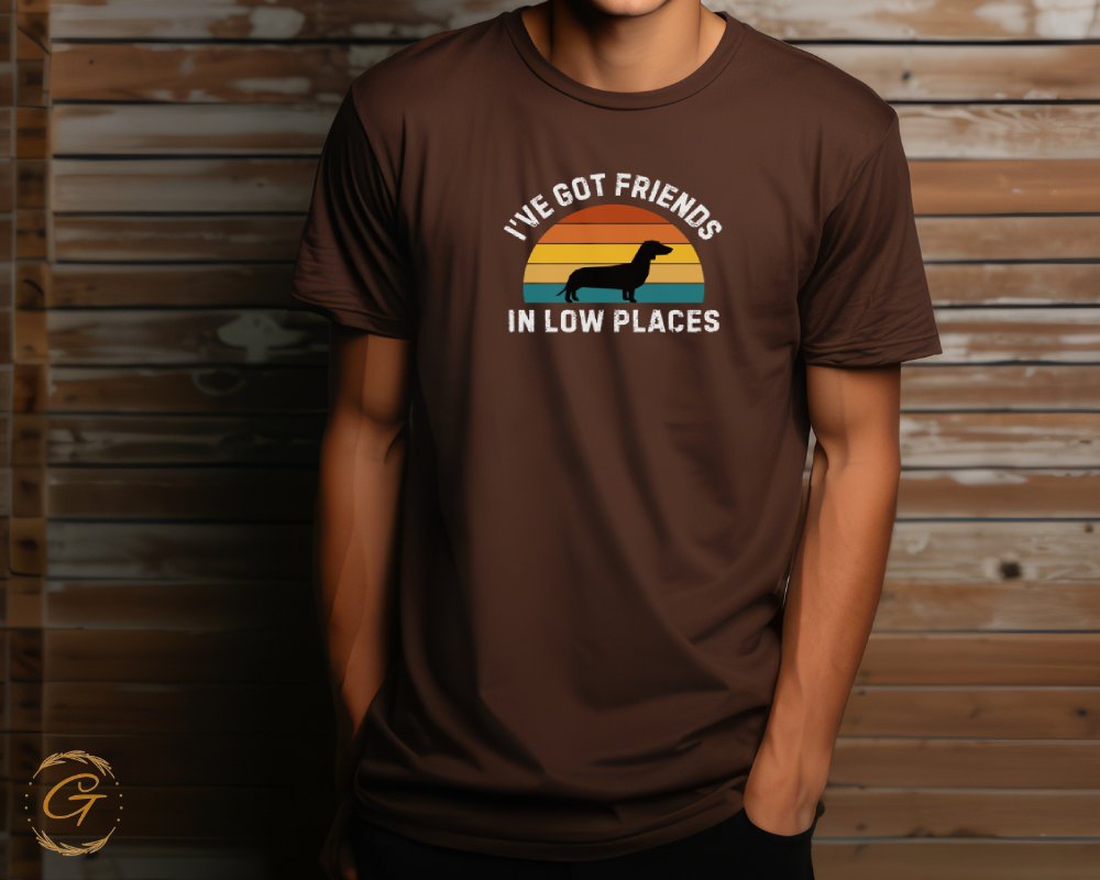 I've Got Friends In Low Places graphic t-shirt product