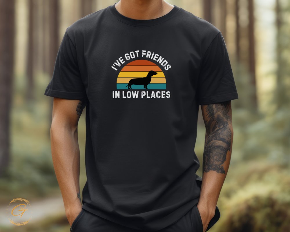 I've Got Friends In Low Places Graphic T-Shirt product type