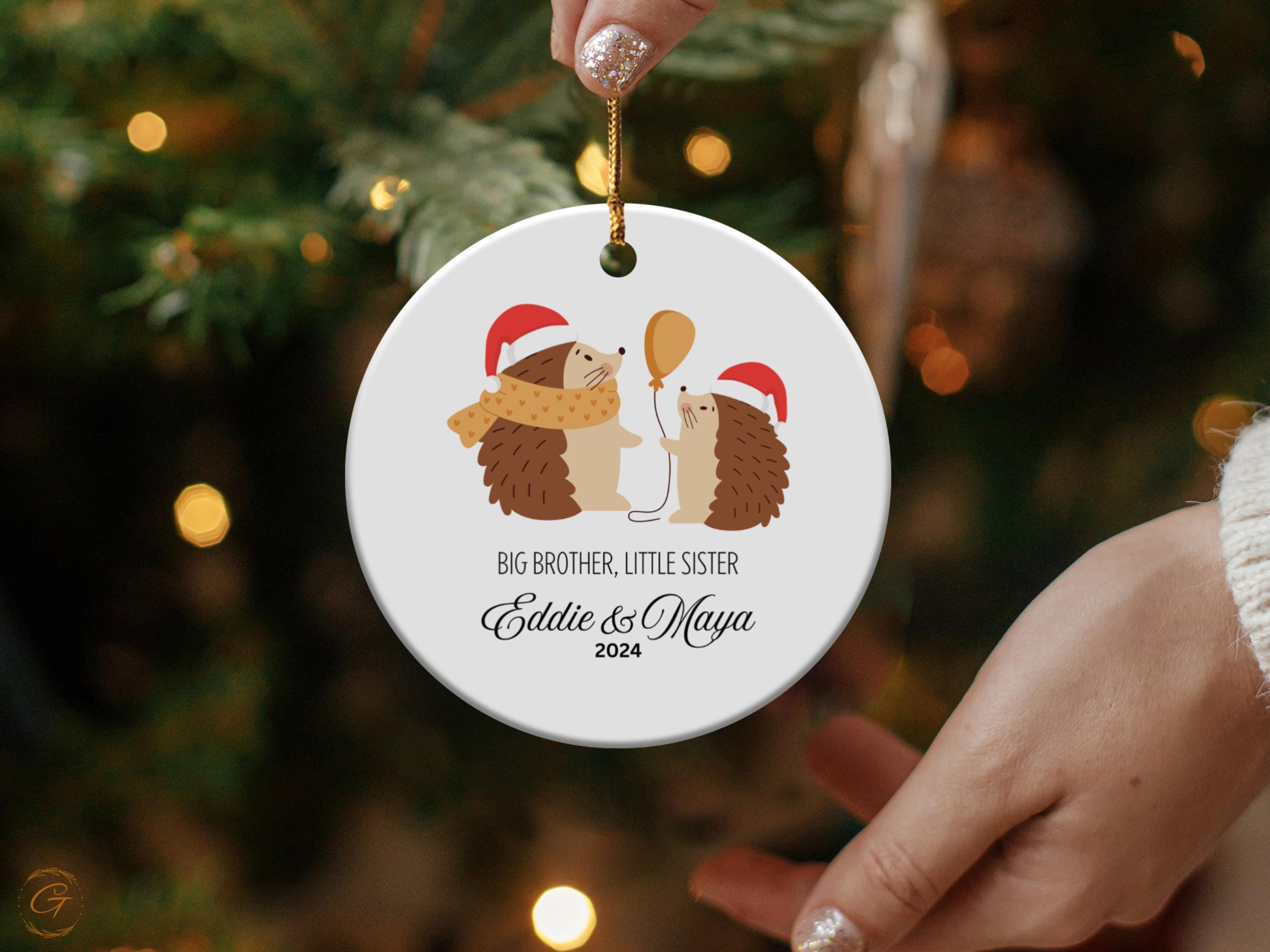 Personalized Siblings Hedgehog Christmas Ornament, Big Brother Little Sister Keepsake, Holiday Gift for Sibling, Custom Cute Family Ornament