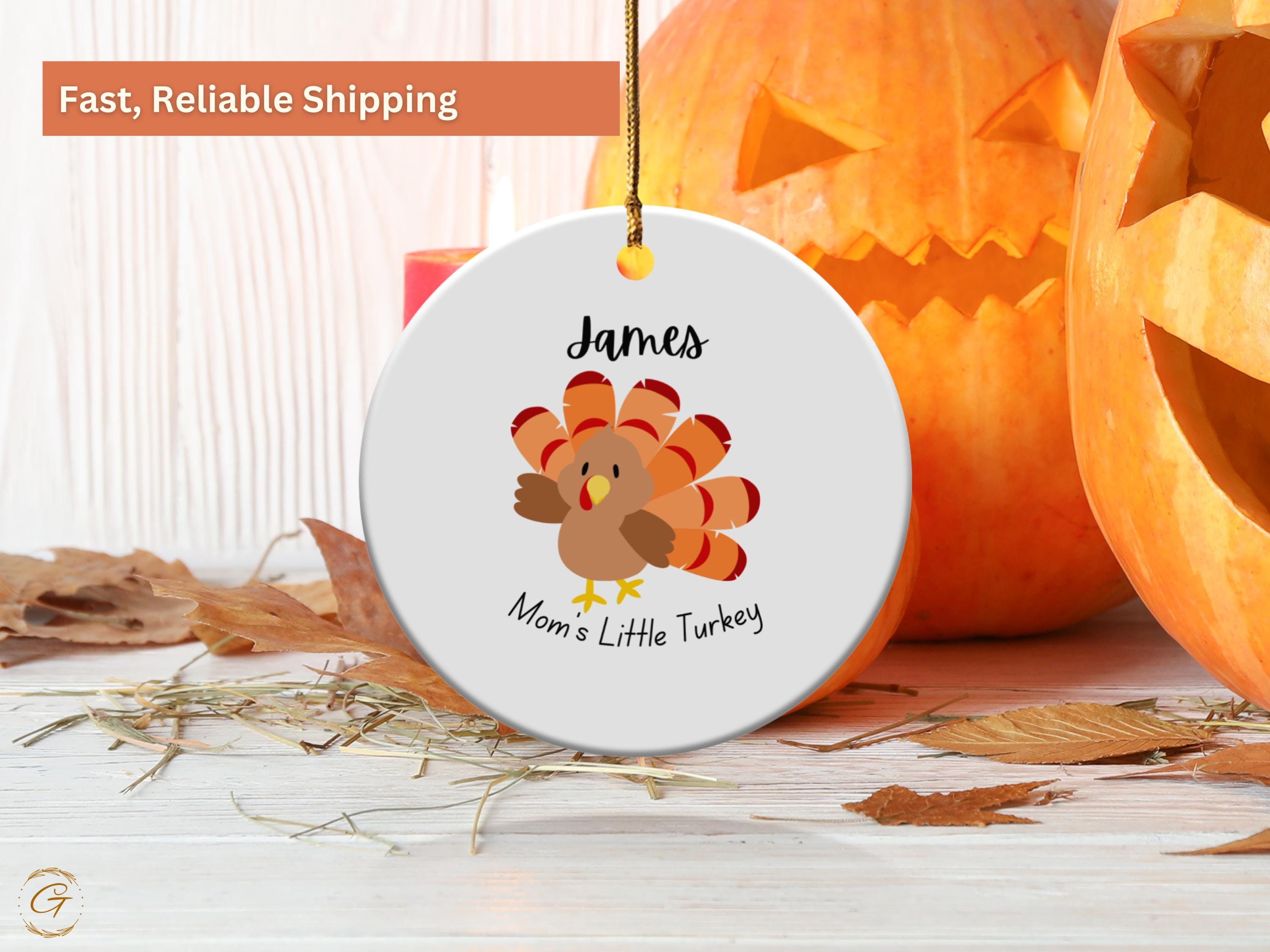 Thanksgiving Turkey Ornament, Cute Holiday Decor, Turkey Decoration, Kids Room Decor, Fall Ornament Turkey Lover Gift, Holiday Keepsake Gift