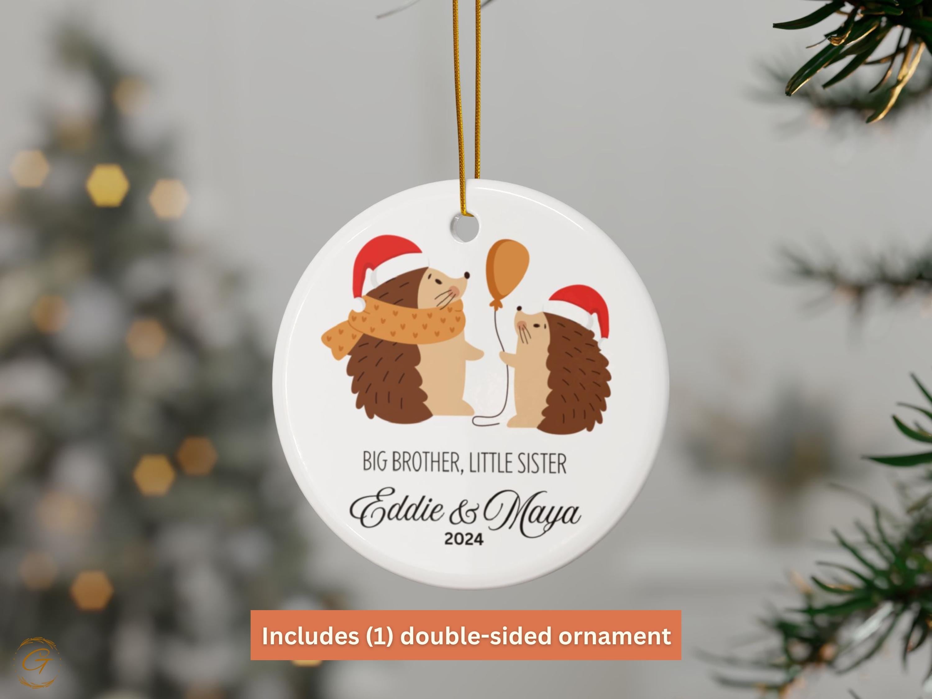 Personalized Siblings Hedgehog Christmas Ornament, Big Brother Little Sister Keepsake, Holiday Gift for Sibling, Custom Cute Family Ornament