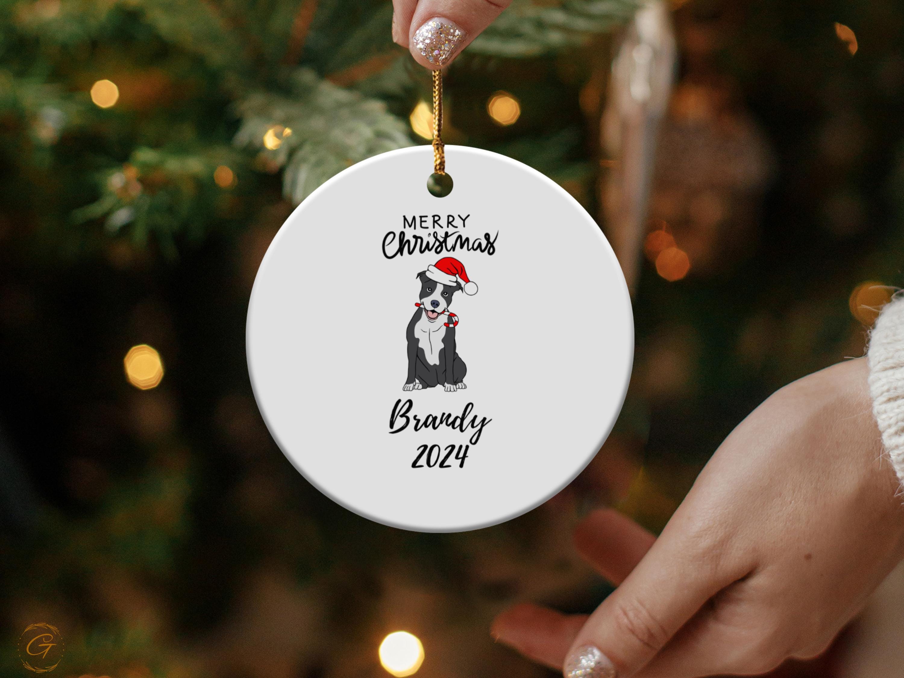 Personalized Merry Christmas Dog Santa Ornament 2024, Cute Dog Christmas Decoration, Personalized Christmas Tree Ornament, Holiday Keepsakes