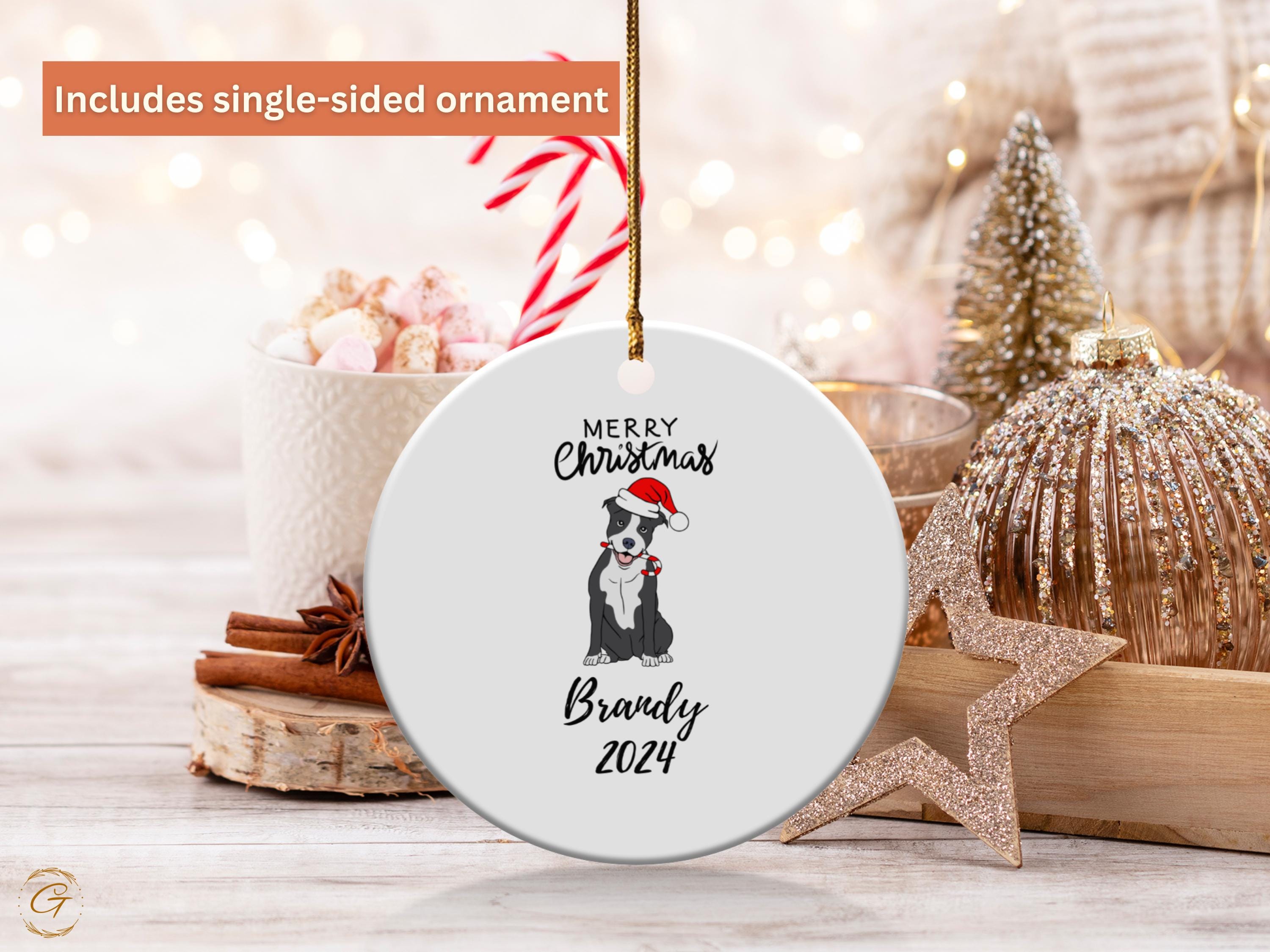 Personalized Merry Christmas Dog Santa Ornament 2024, Cute Dog Christmas Decoration, Personalized Christmas Tree Ornament, Holiday Keepsakes