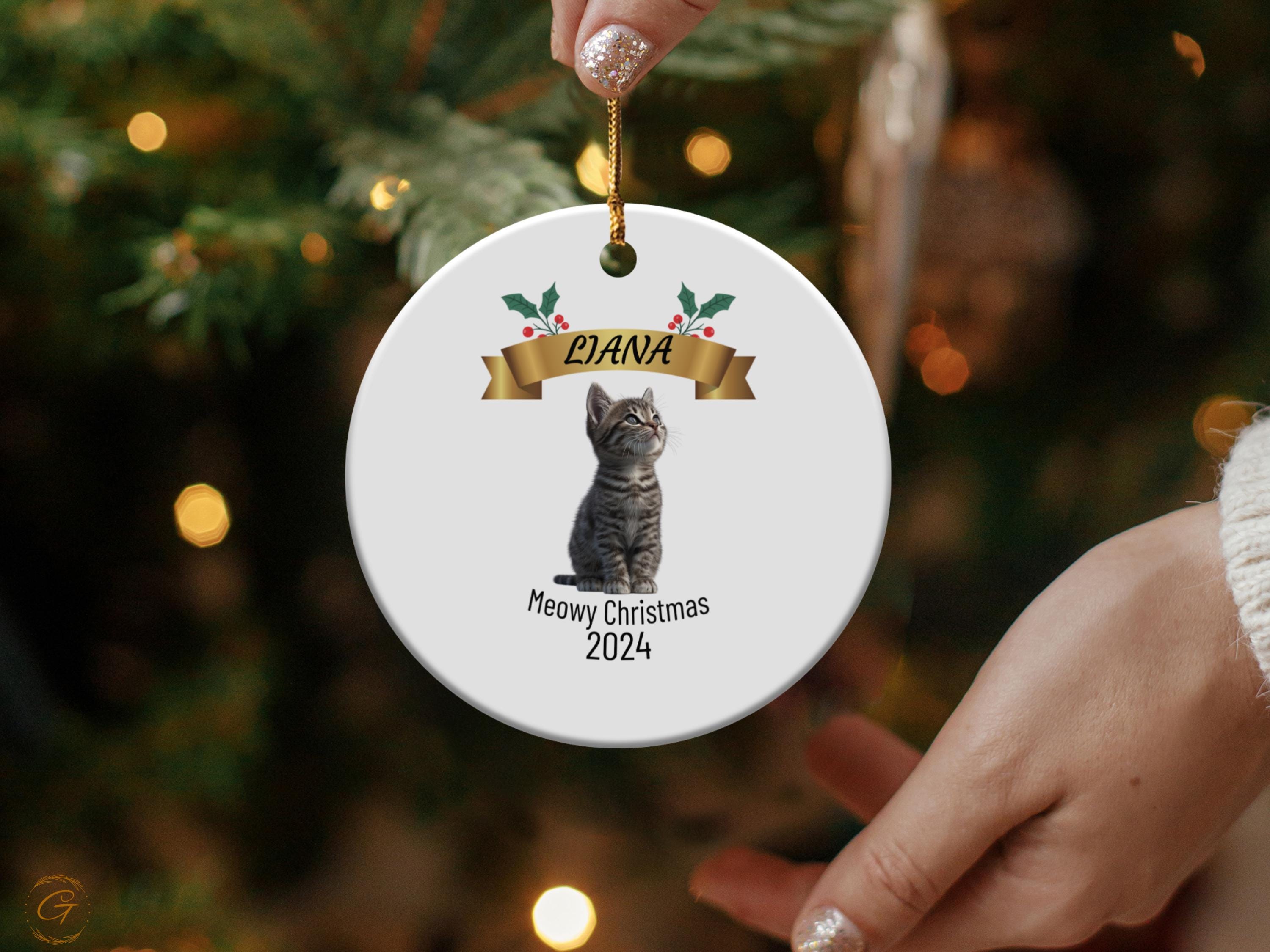 Personalized Cat Christmas Ornament 2024
