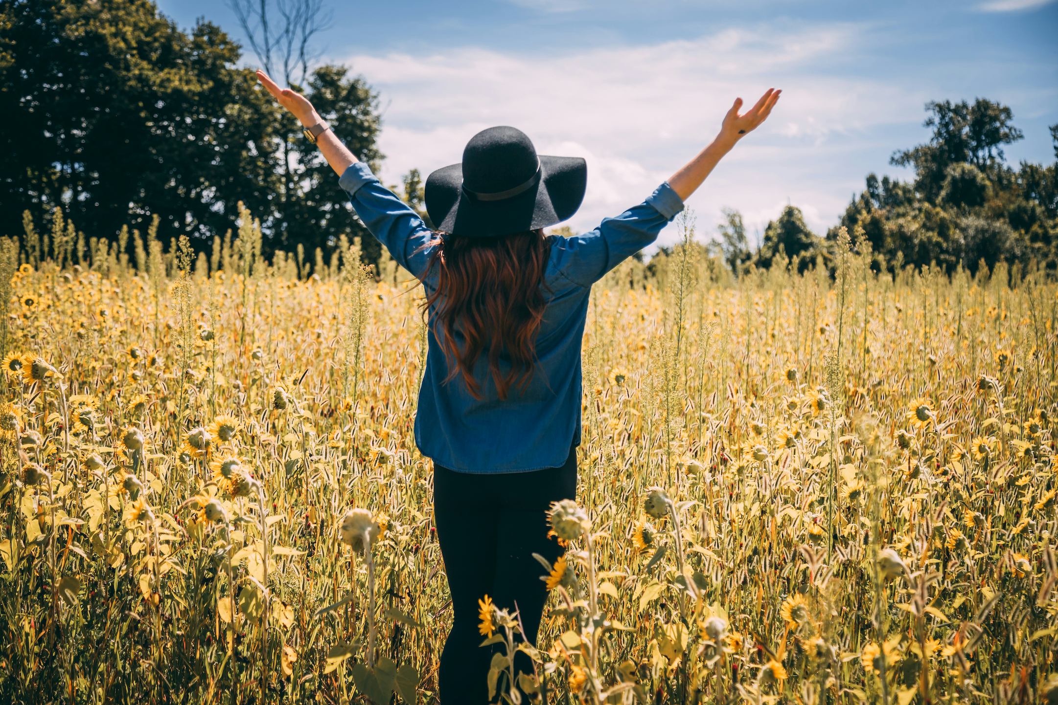 The Power of Gratitude: Why Being Thankful Transforms Your Life