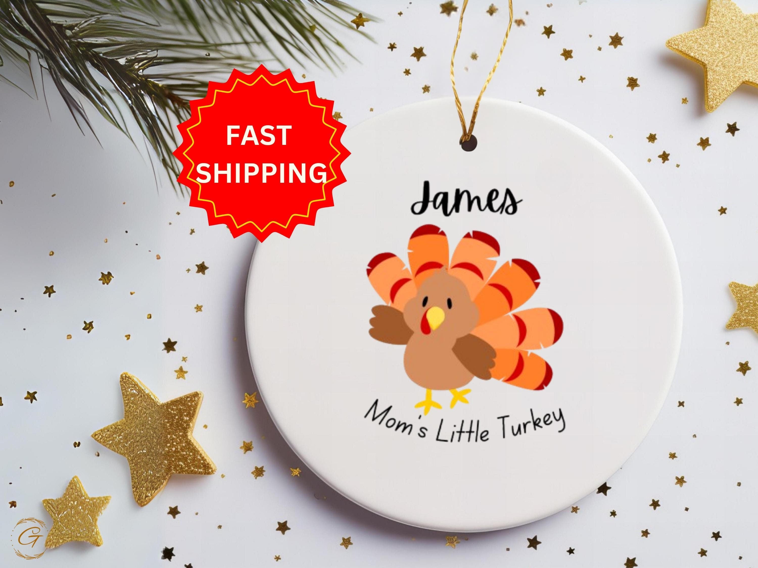 Thanksgiving Turkey Ornament, Cute Holiday Decor, Turkey Decoration, Kids Room Decor, Fall Ornament Turkey Lover Gift, Holiday Keepsake Gift