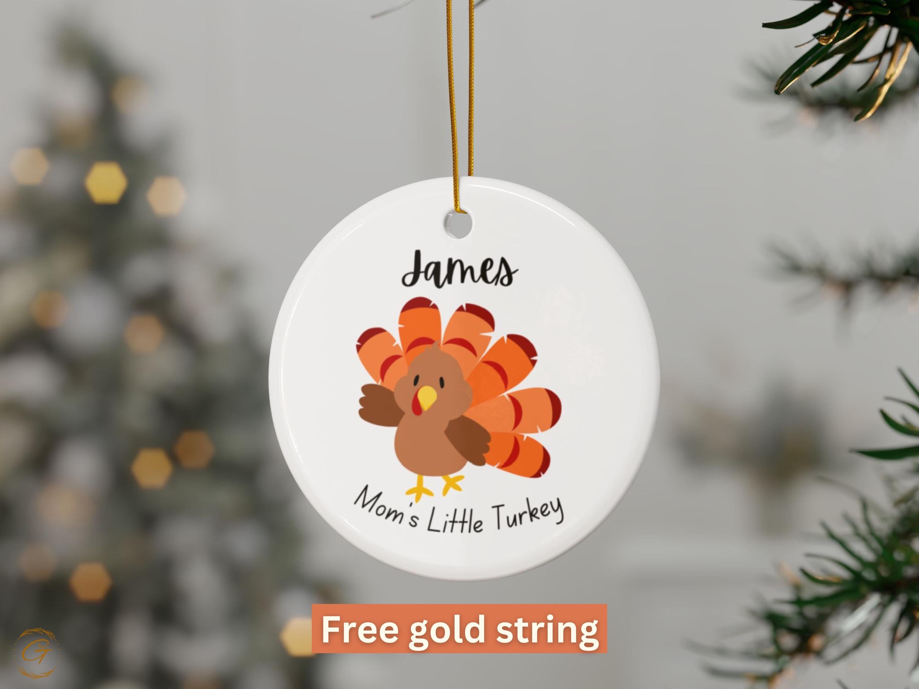 Baby's First Thanksgiving Ornament 2024, Newborn Thanksgiving Keepsakes, Baby Milestone Ornament, Baby's First Holiday, Unique Holiday Gifts