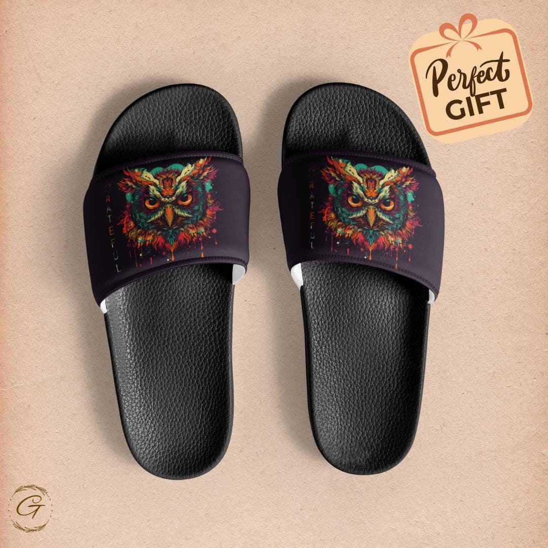 Colorful Owl Design Men's Slides